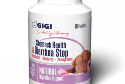 Stomach Health and Diarrhea Stop | For Large Dogs Diarrhea Treatment